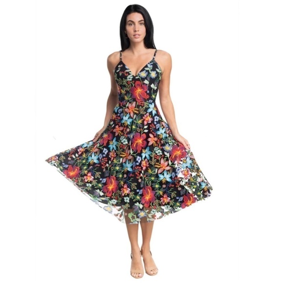 Dress the Population Maren Embroidered Floral Sleeveless Fit & Flare Dress XXS - Picture 1 of 12